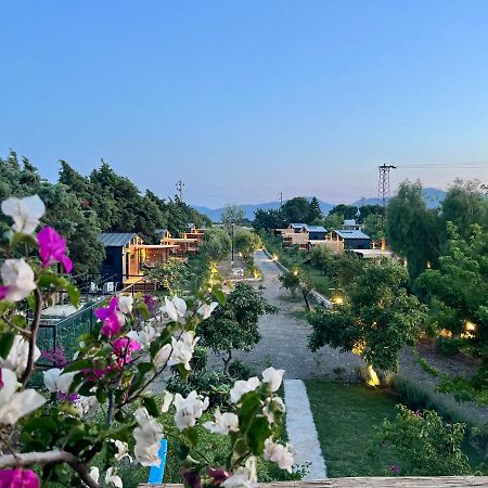 Tiny Datca Hotel Ngoại thất bức ảnh