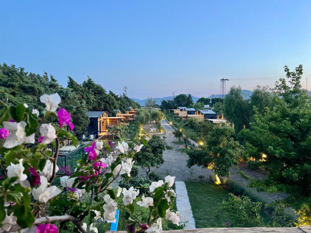 Tiny Datca Hotel Ngoại thất bức ảnh